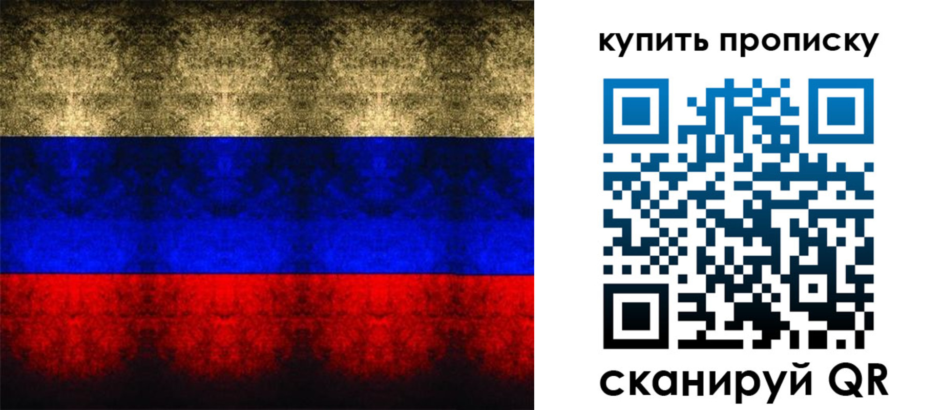прописка в Кирсе